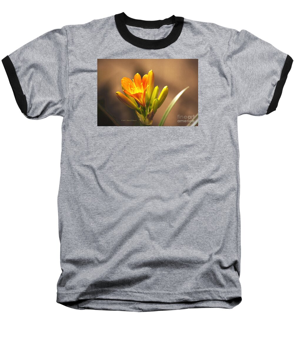 Kaffir Lily Baseball T-Shirt featuring the photograph Single Kaffir Lily Bloom by Richard J Thompson 