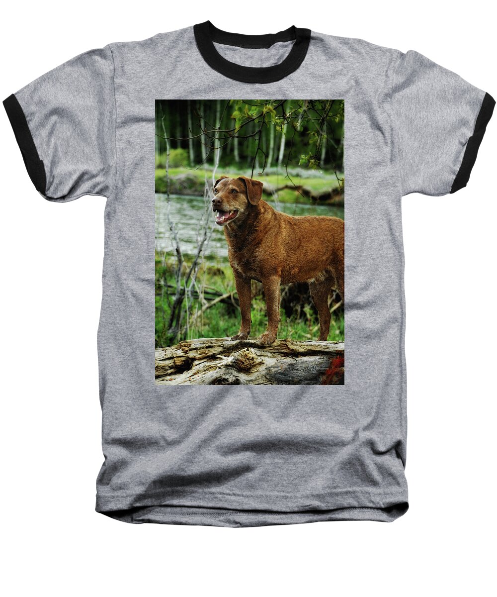 Dog Baseball T-Shirt featuring the photograph Smile Now by Donna Blackhall