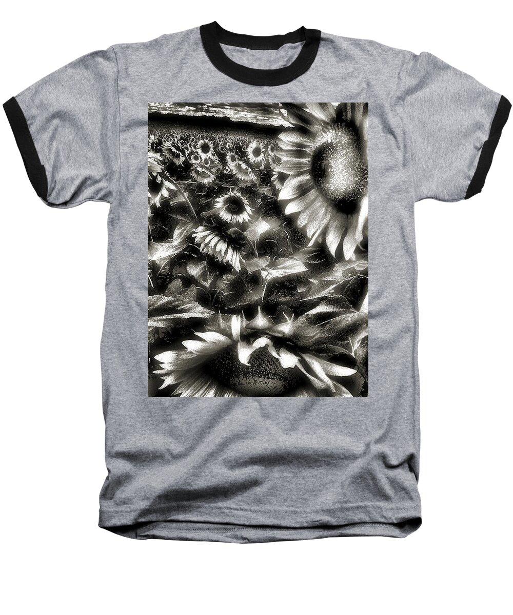 Sunflowers Baseball T-Shirt featuring the photograph Smilin Atchya by Robert McCubbin