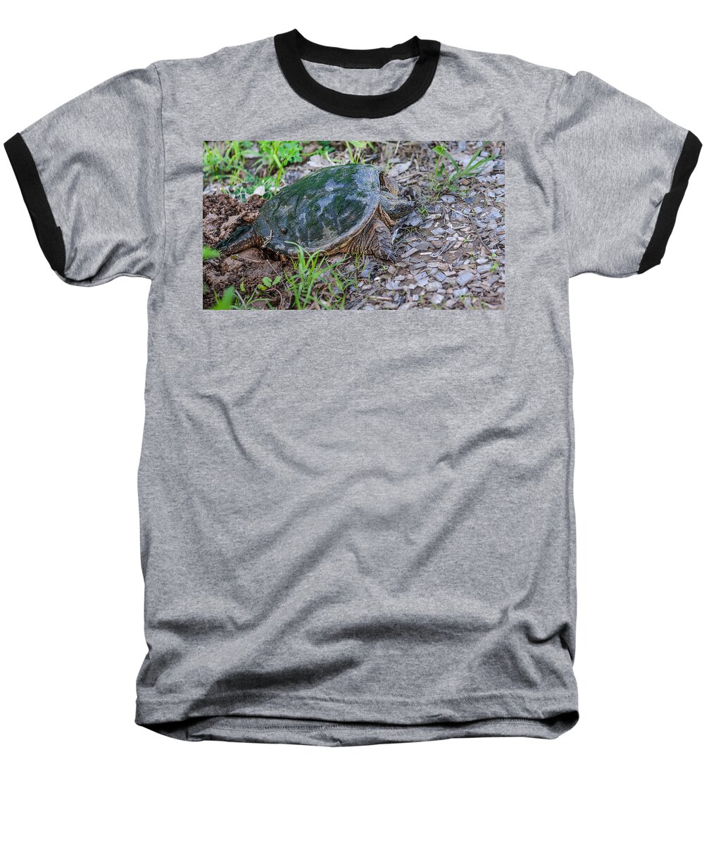 Heron Heaven Baseball T-Shirt featuring the photograph Snapper Eggs by Ed Peterson