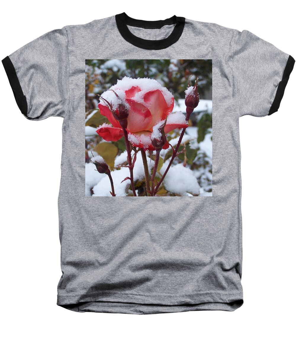 Flowers Baseball T-Shirt featuring the photograph Snow Blooms by Claudia Goodell