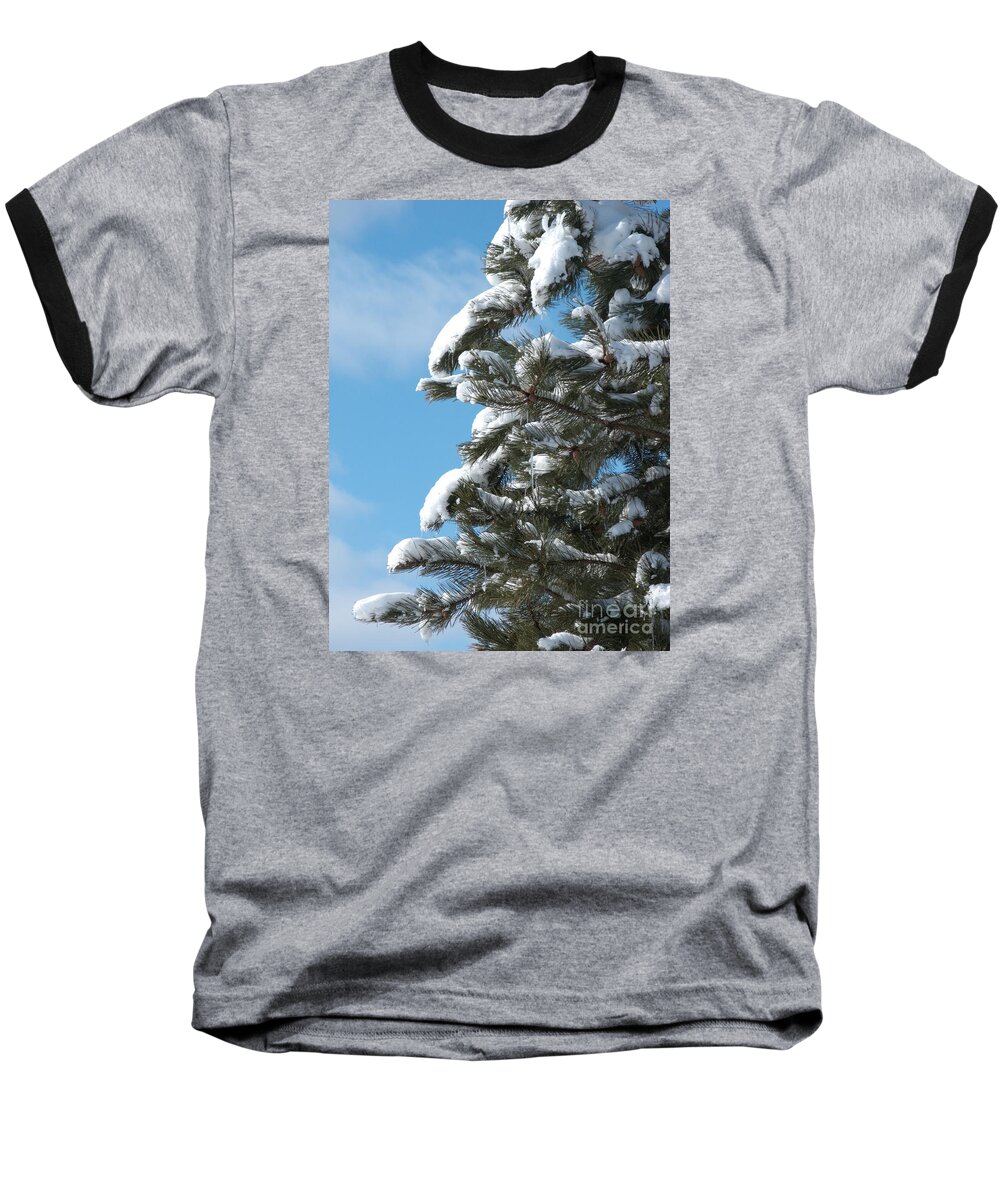 Snow Baseball T-Shirt featuring the photograph Snow-Clad Pine by Ann Horn