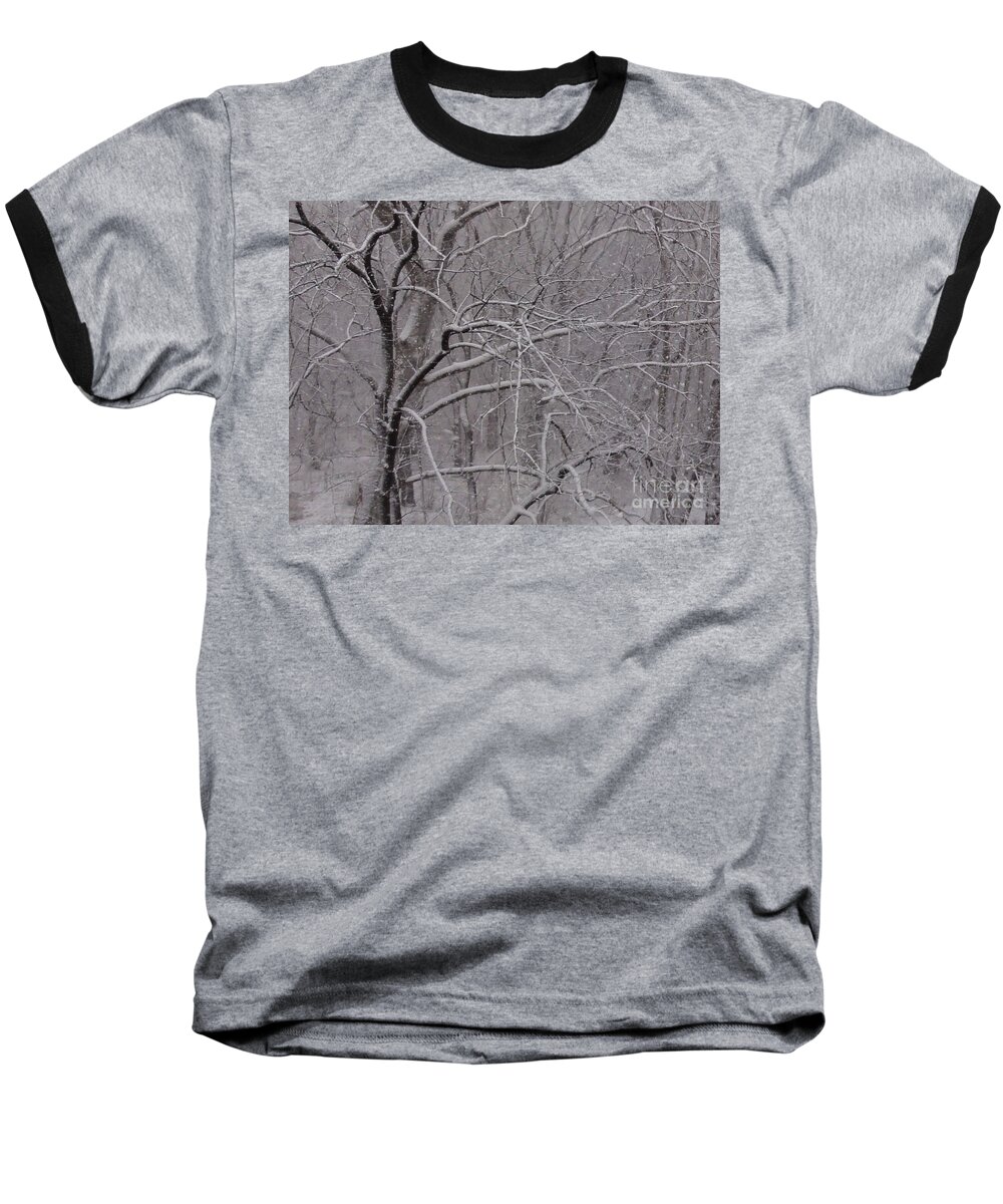 Bridge Baseball T-Shirt featuring the photograph Snow in the Trees at Bulls Island by Christopher Plummer