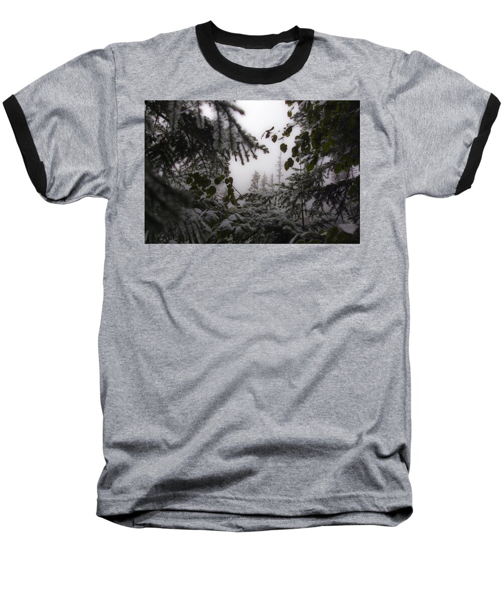 Narada Falls Baseball T-Shirt featuring the photograph Snow in Trees at Narada Falls by Greg Reed