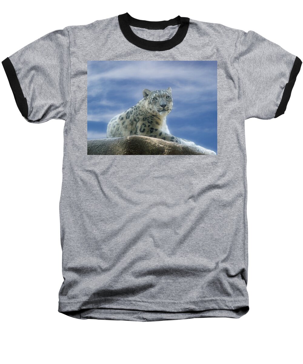 Snow Leopard Baseball T-Shirt featuring the photograph Snow Leopard by Sandy Keeton