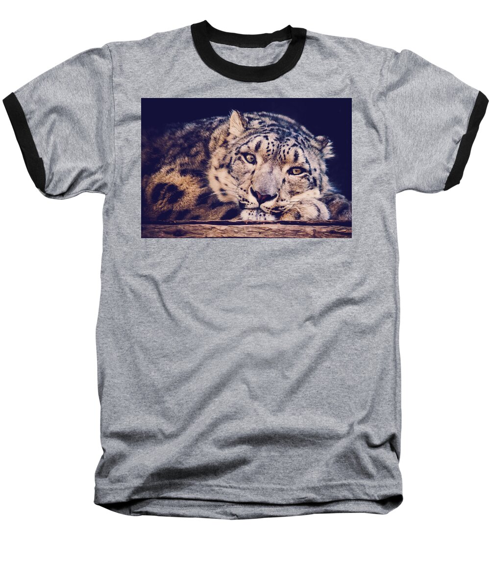 Snow Leopard Baseball T-Shirt featuring the photograph Snow Leopard by Sara Frank