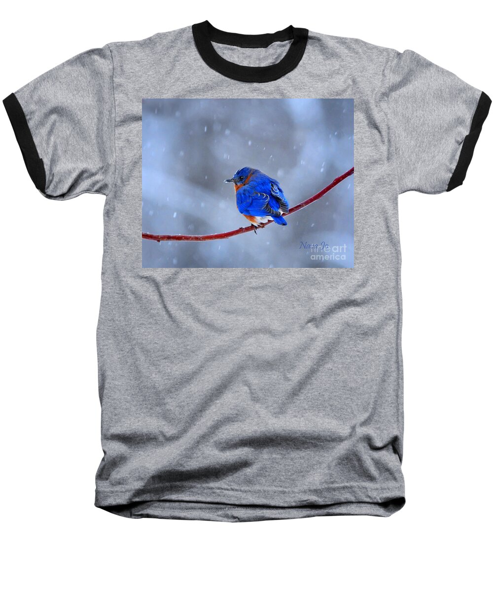 Nature Baseball T-Shirt featuring the photograph Snowy Bluebird by Nava Thompson