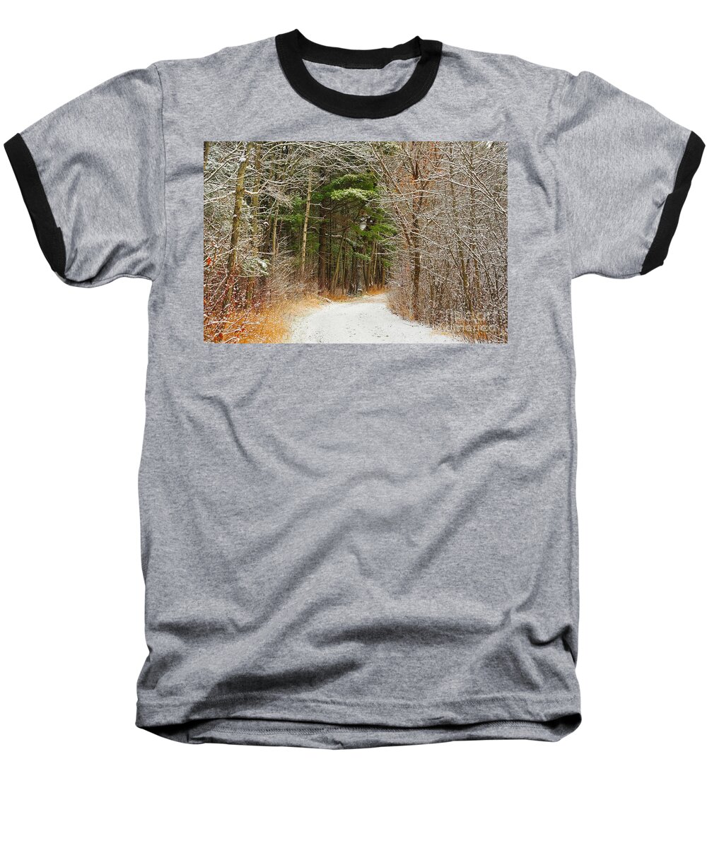 Snow Baseball T-Shirt featuring the photograph Snowy Tunnel of Trees by Terri Gostola