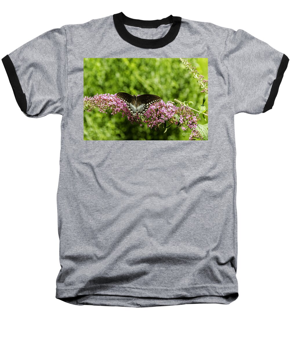 Antenna Baseball T-Shirt featuring the photograph Spicebush Swallowtail by Mary Carol Story