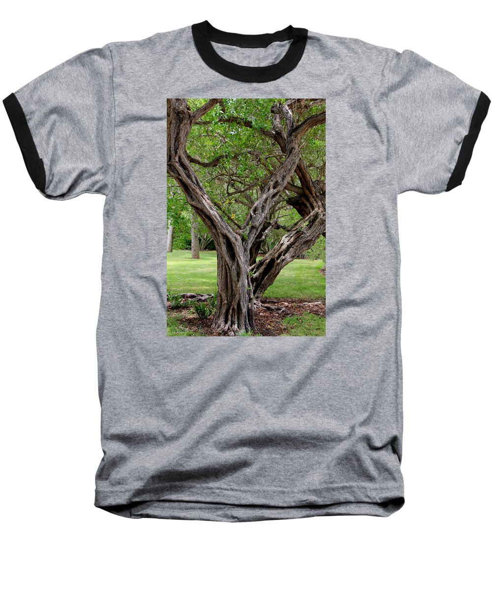 Tree Baseball T-Shirt featuring the photograph Spooky Tree by Rosalie Scanlon
