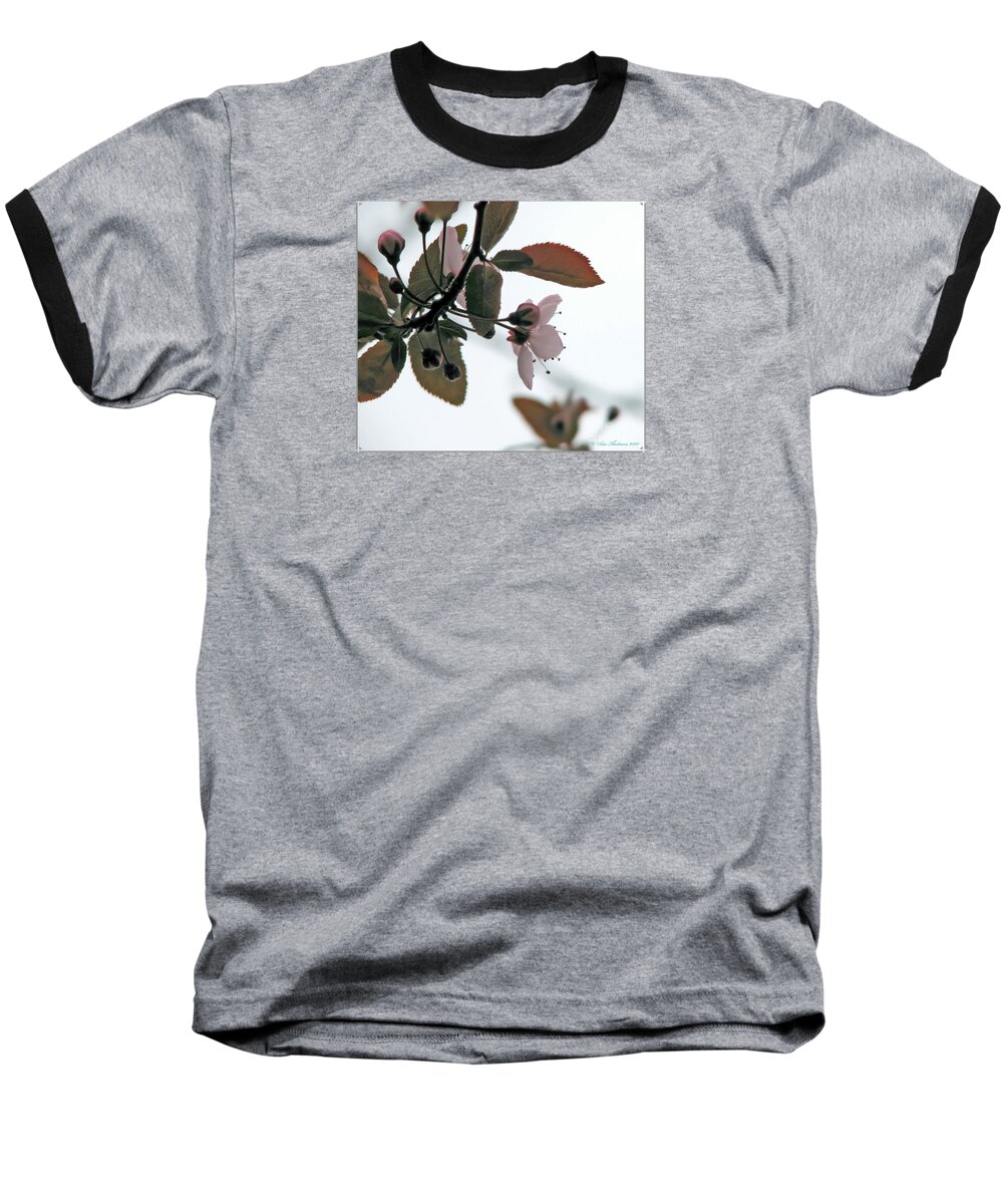 Back Lit Baseball T-Shirt featuring the photograph Spring Comes Softly by Chris Anderson