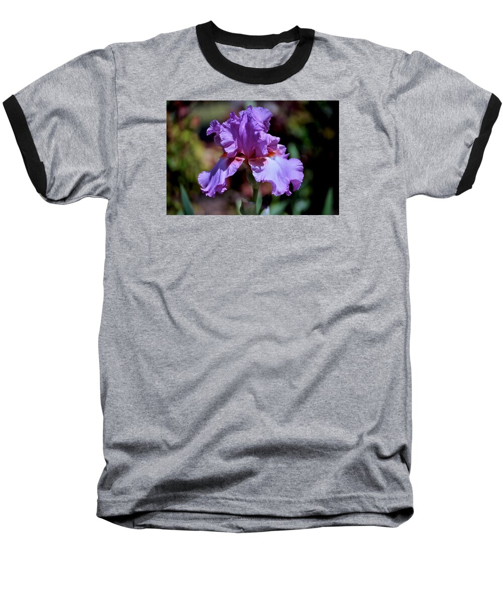 Purple Iris Baseball T-Shirt featuring the photograph Spring Iris In Bloom by Kristina Deane