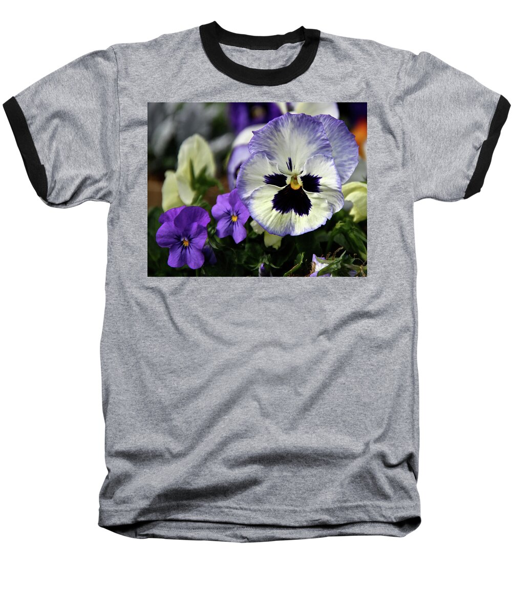 Pansy Baseball T-Shirt featuring the photograph Spring Pansy Flower by Ed Riche