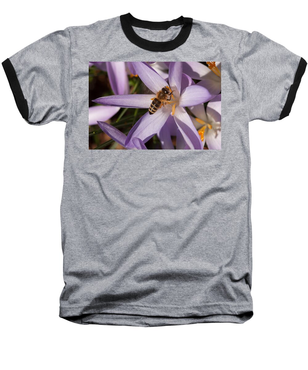 Spring Baseball T-Shirt featuring the photograph Spring's Welcome by Miguel Winterpacht