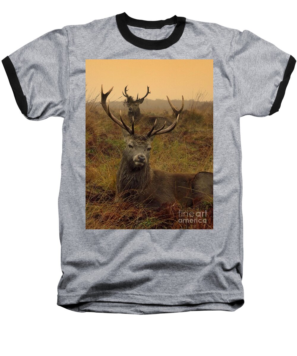 Deer Baseball T-Shirt featuring the photograph Williams Fine Art Stag Party The Series by Linsey Williams