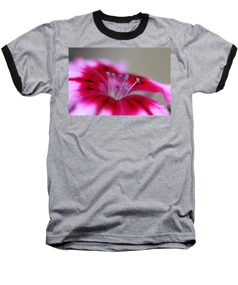 Sweet William Baseball T-Shirt featuring the photograph Standing tall Sweet William by Joy Watson