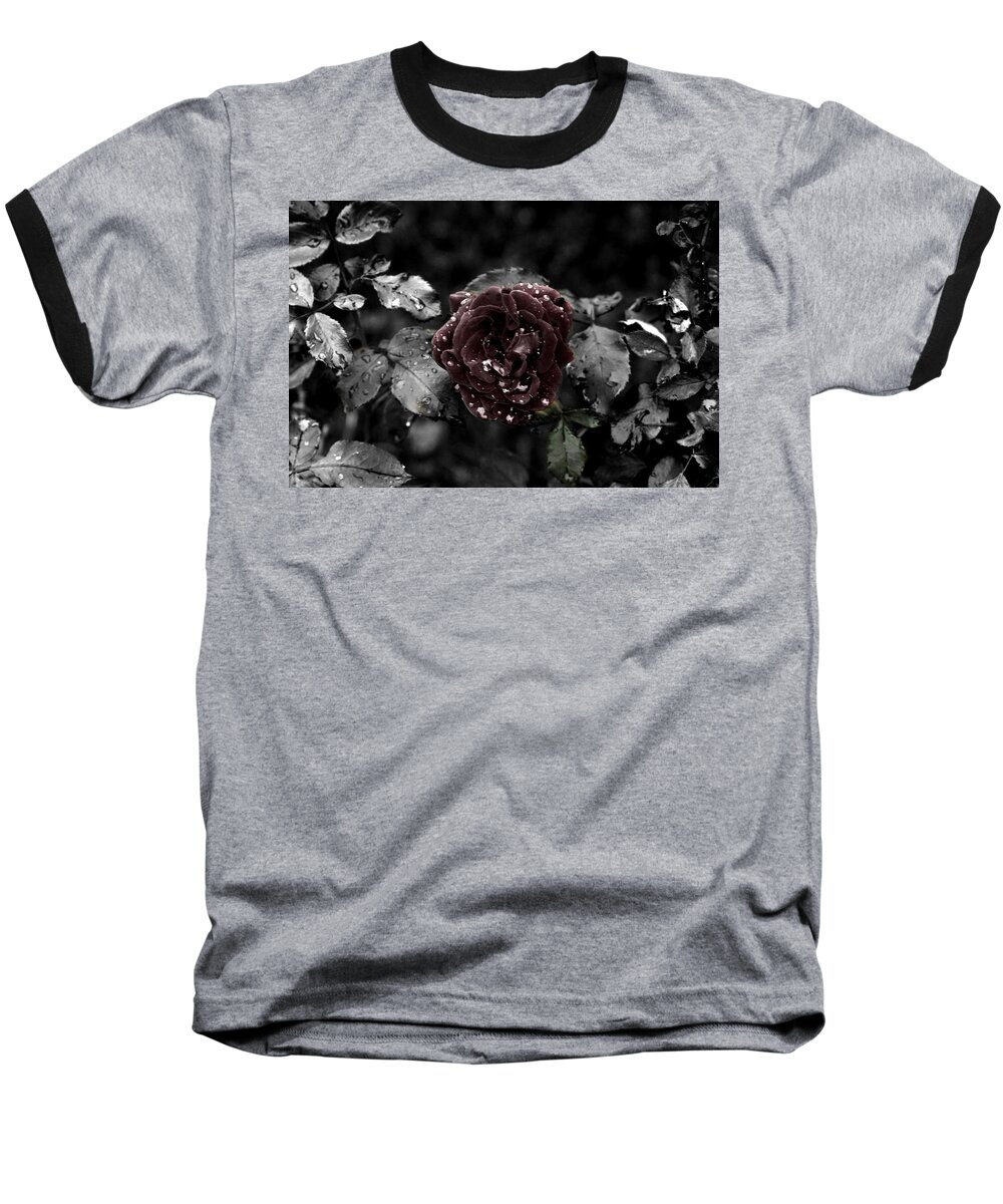 Red Rose Baseball T-Shirt featuring the photograph ...Still A Rose by David Yocum