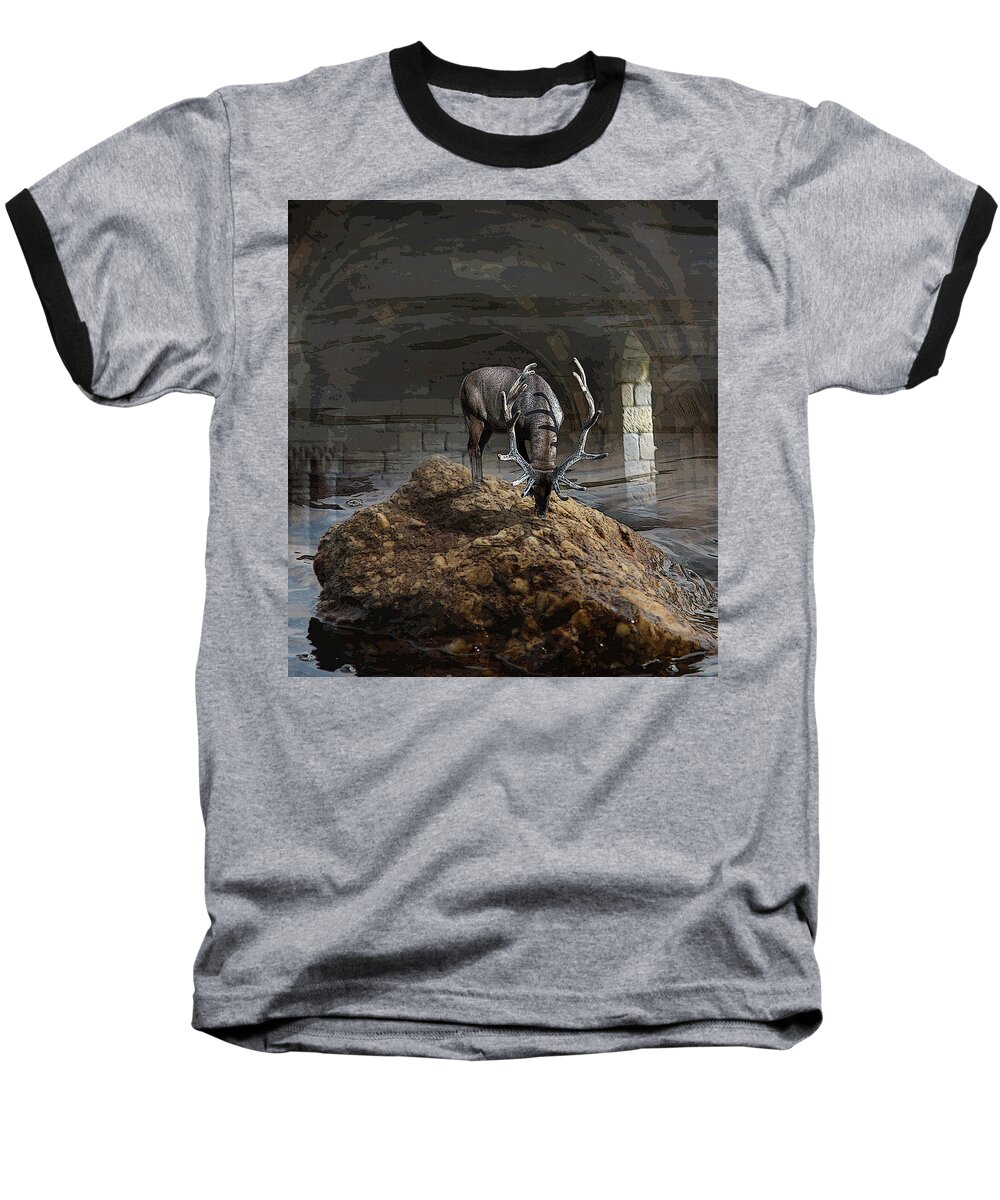 Deer Baseball T-Shirt featuring the photograph Stillness by Yvonne Wright