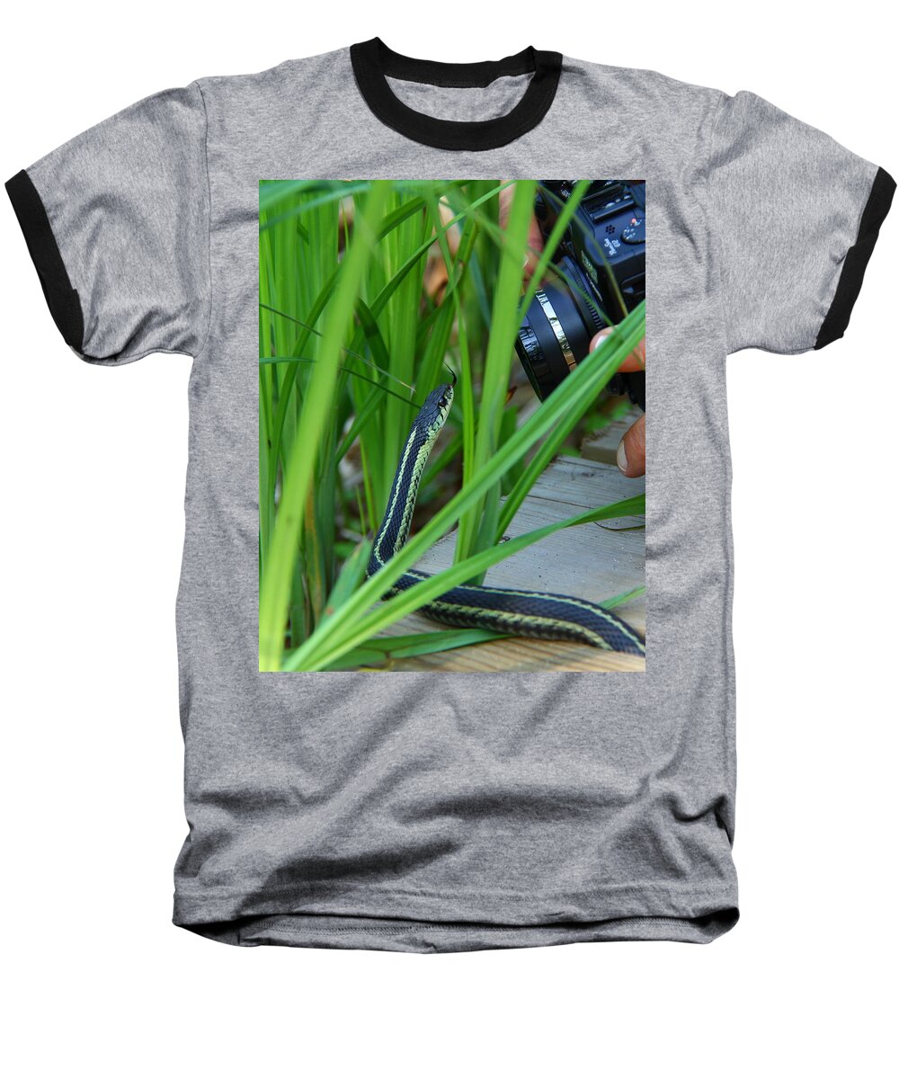 Snake Baseball T-Shirt featuring the photograph Strike a Pose by Davandra Cribbie