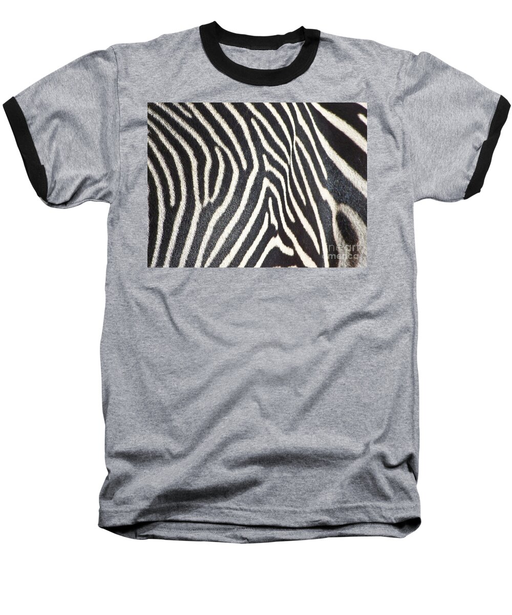 Animals Baseball T-Shirt featuring the photograph Stripes and Ripples by Kathy McClure
