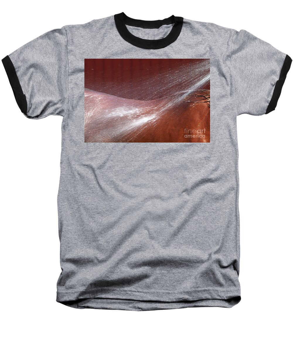 Relief Baseball T-Shirt featuring the photograph Cooling Off by Michelle Twohig