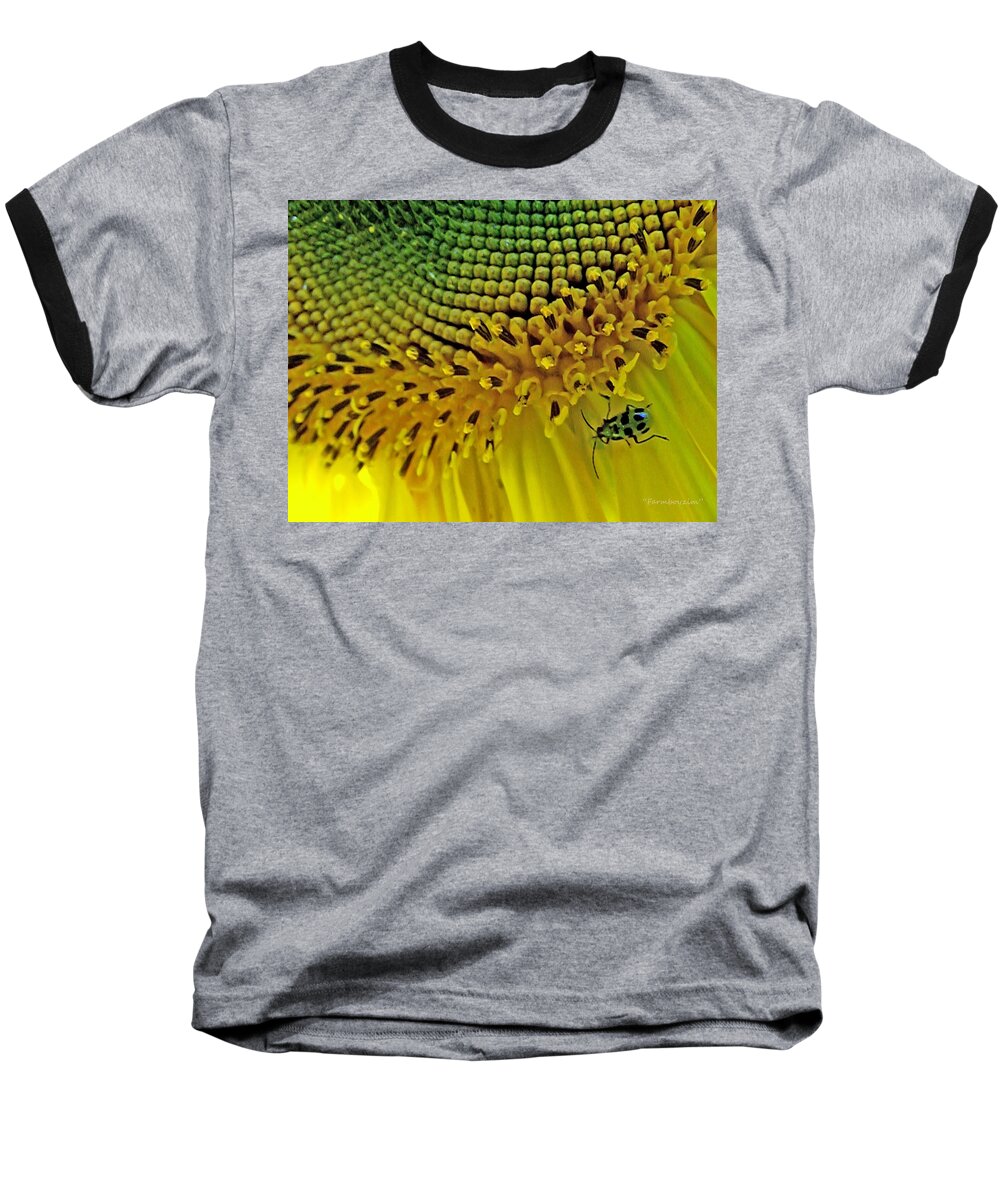 Sunflowers Baseball T-Shirt featuring the photograph Sunflower and Beetle by Harold Zimmer