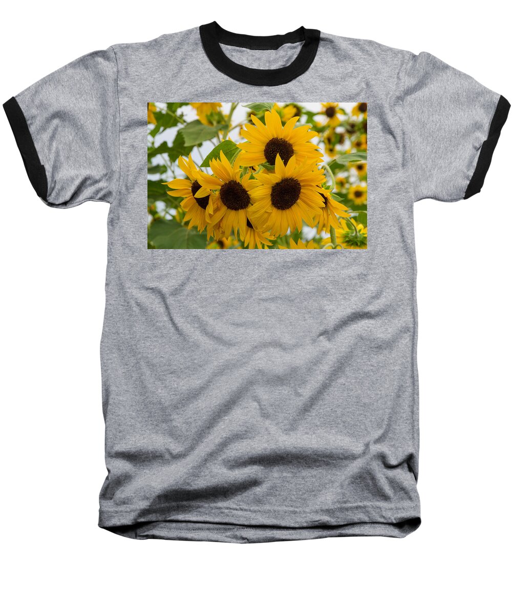 Flower Baseball T-Shirt featuring the photograph Sunflower Bouquet by Patricia Schaefer