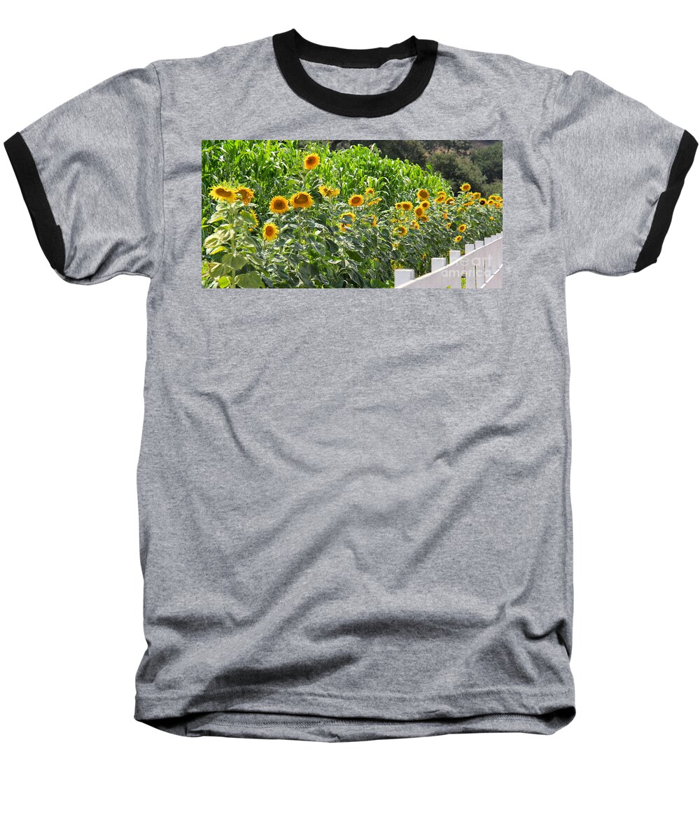 Sunflowers Baseball T-Shirt featuring the photograph Sunflower Fence by Suzanne Oesterling