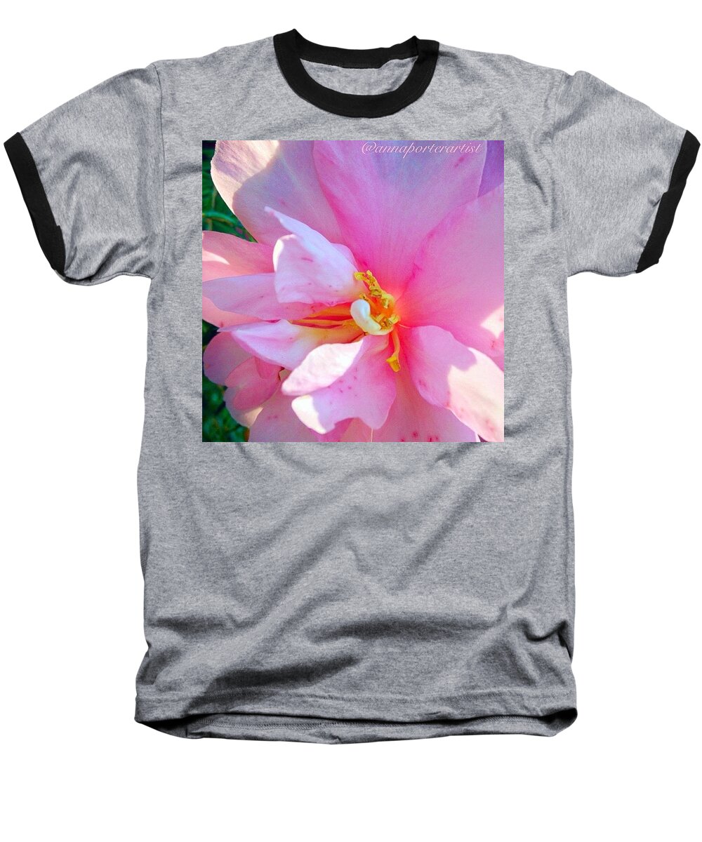 Sunny Camellia Baseball T-Shirt featuring the photograph Sunny Camellia by Anna Porter