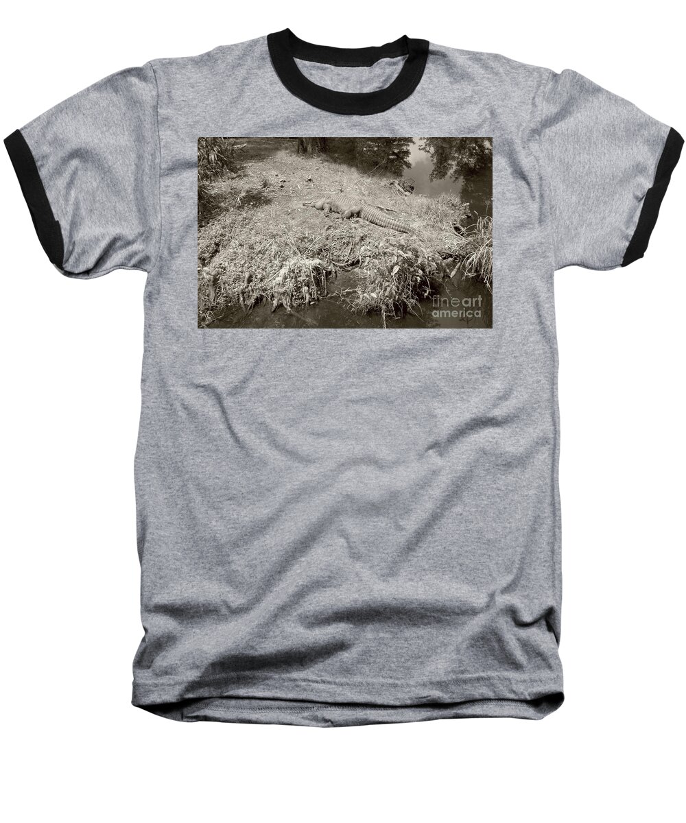 Sunning Baseball T-Shirt featuring the photograph Sunny Gator Sepia by Joseph Baril