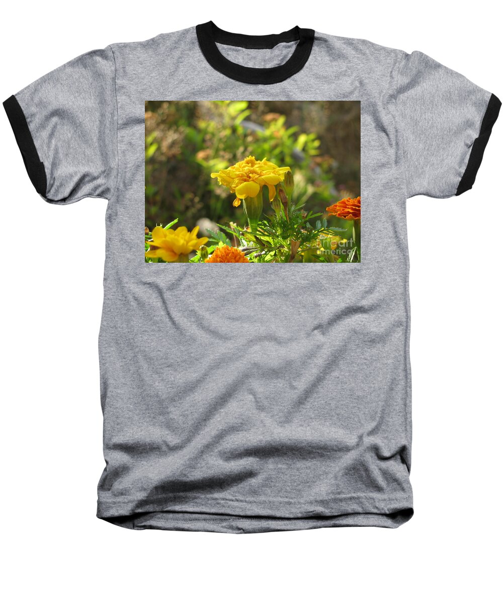 Marigold Baseball T-Shirt featuring the photograph Sunny Marigold by Leone Lund
