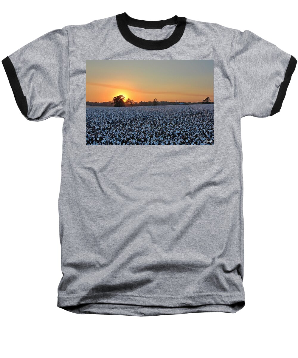Ag Baseball T-Shirt featuring the photograph Sunset Row by David Zarecor