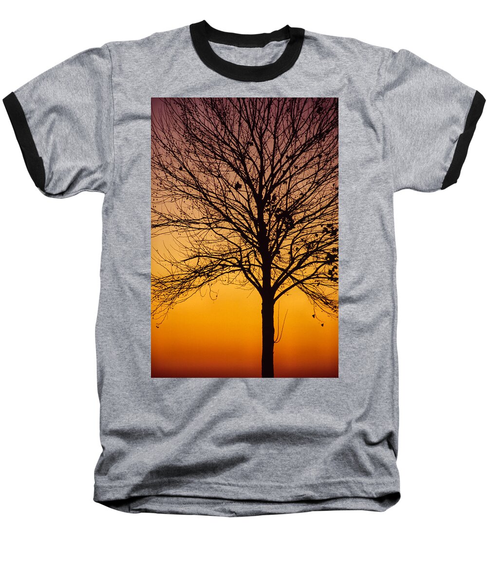 Florida Baseball T-Shirt featuring the photograph Sunset Tree by Stefan Mazzola
