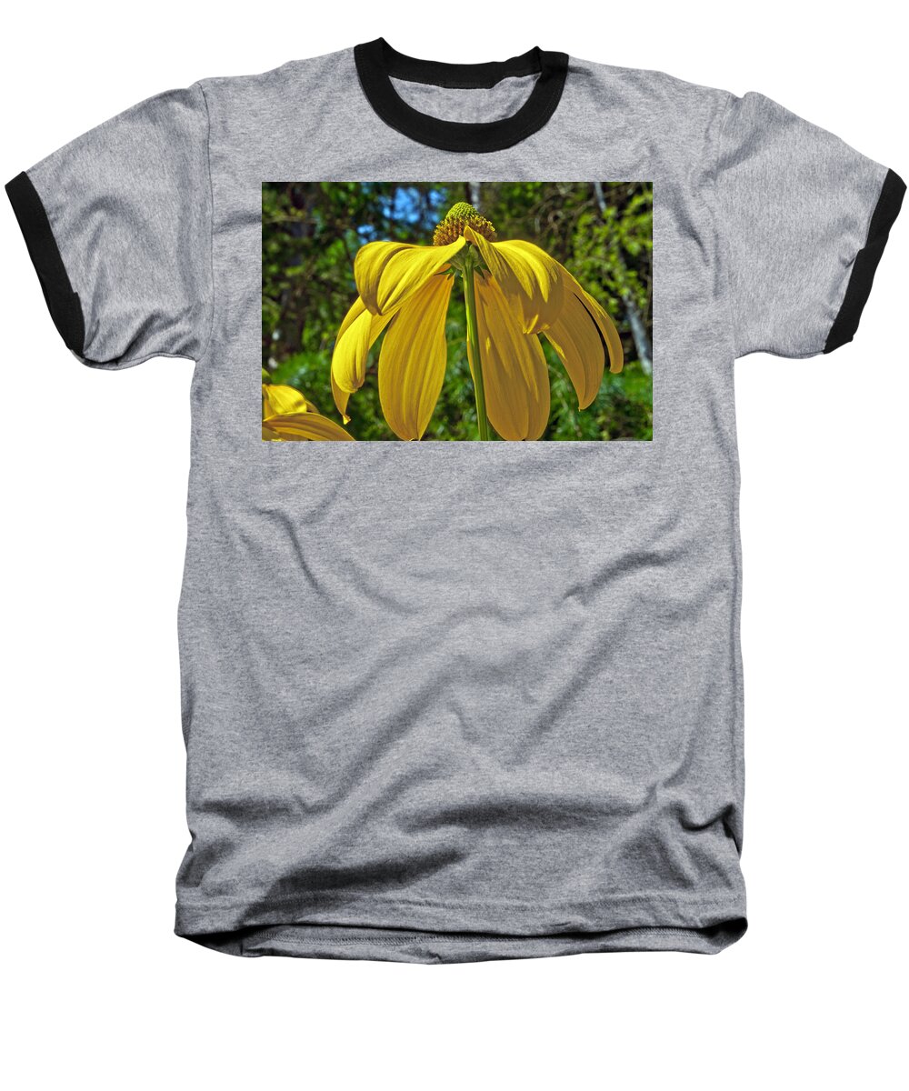 Garden Baseball T-Shirt featuring the photograph Sunshine on my Shoulders by Tikvah's Hope