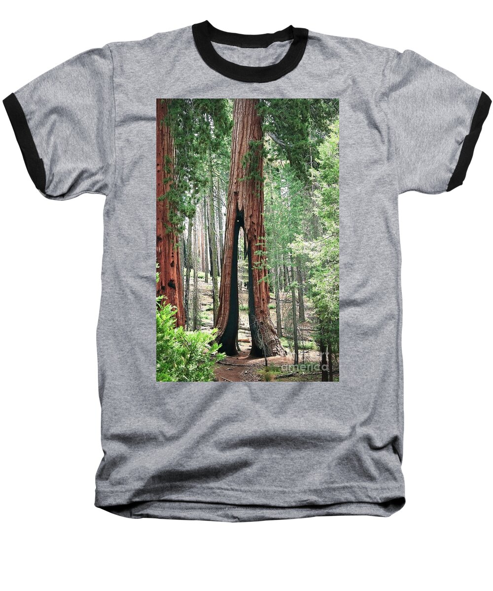 Yosemite Baseball T-Shirt featuring the photograph Survivor by Ellen Cotton