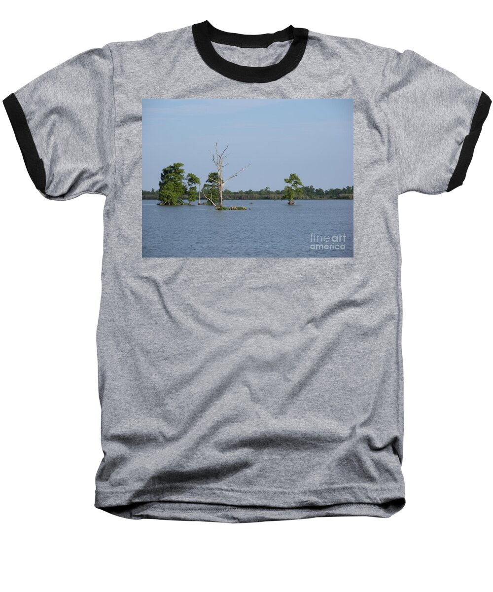 Water Lilly Baseball T-Shirt featuring the photograph Swamp Cypress Trees by Joseph Baril