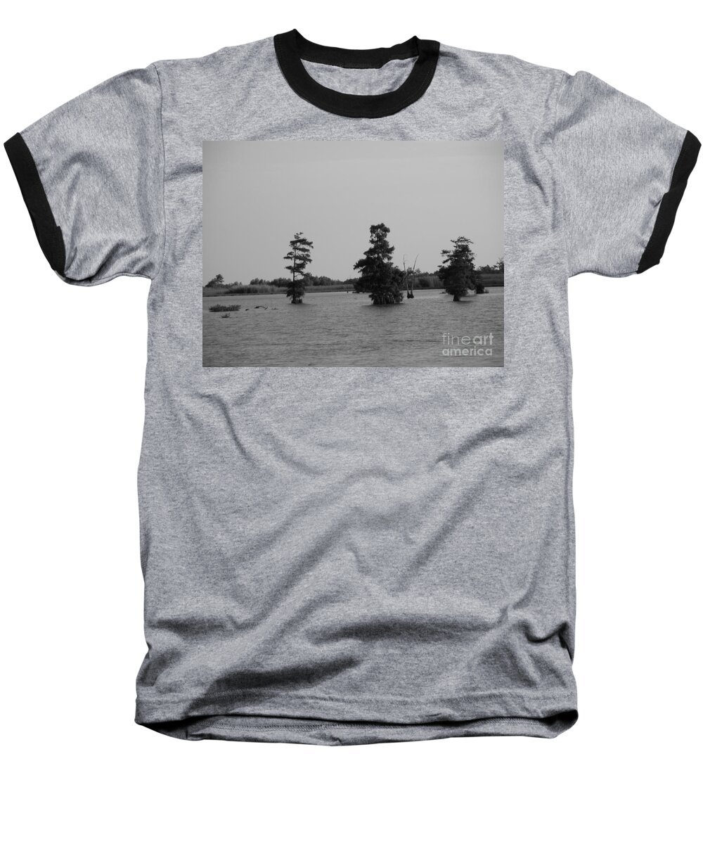 Water Lilly Baseball T-Shirt featuring the photograph Swamp Tall Cypress Trees Black and White by Joseph Baril