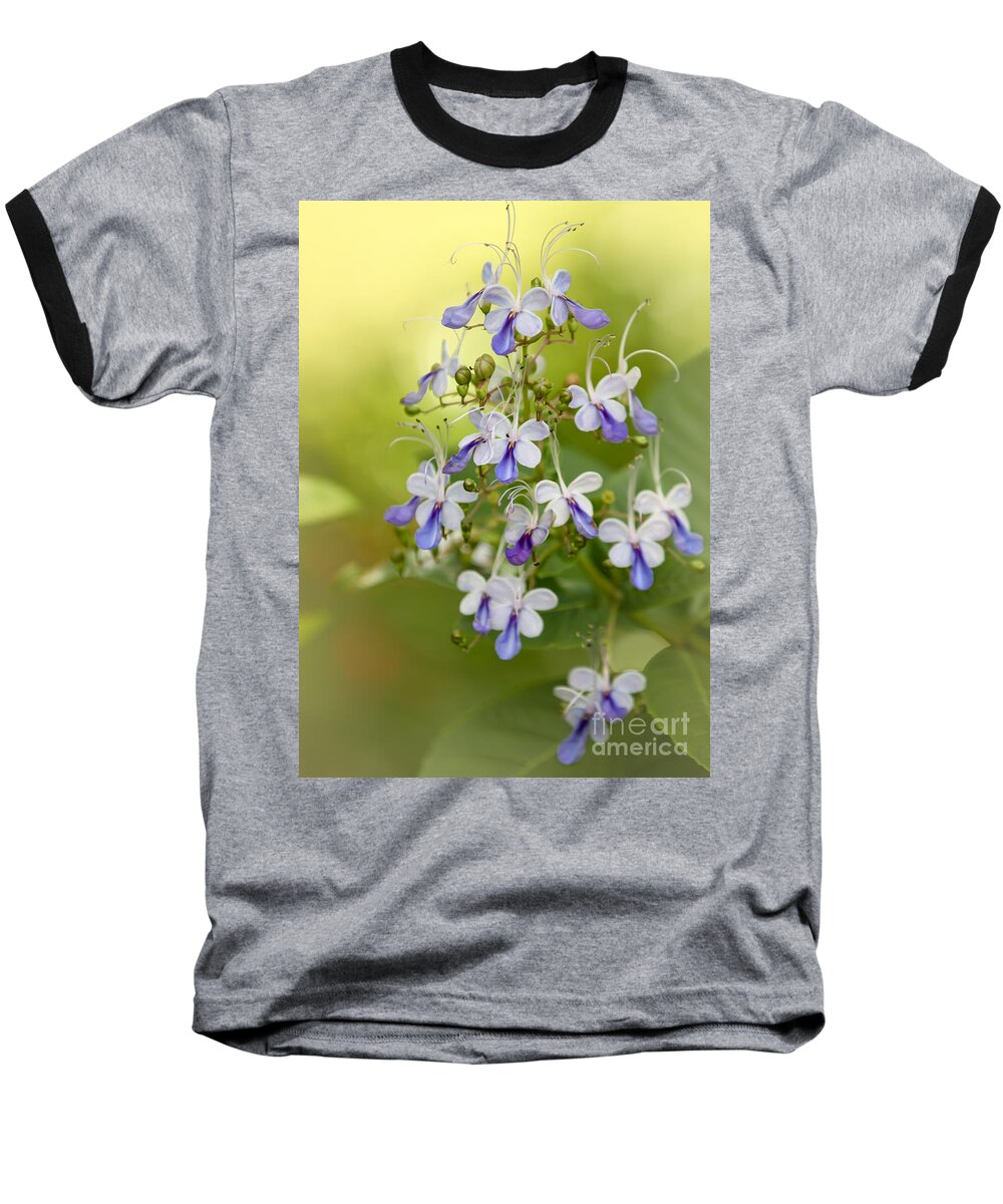 Amazing Baseball T-Shirt featuring the photograph Sweet Butterfly Flowers by Sabrina L Ryan