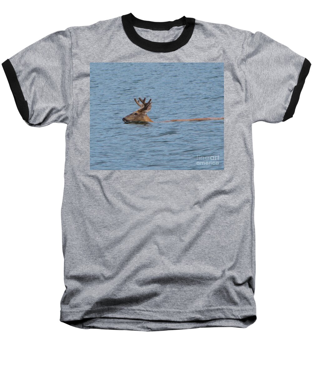 Deer Baseball T-Shirt featuring the photograph Swimming Deer by Leone Lund