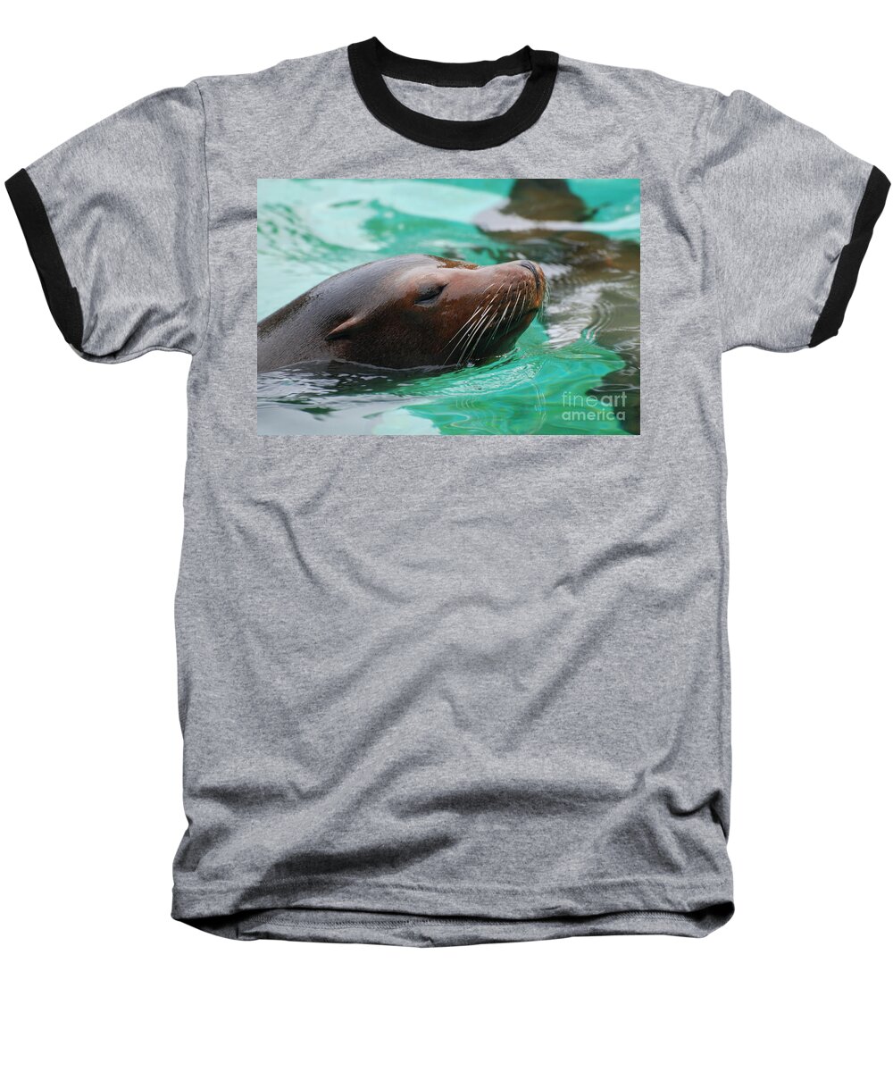 Sea Lion Baseball T-Shirt featuring the photograph Swimming Sea Lion by DejaVu Designs