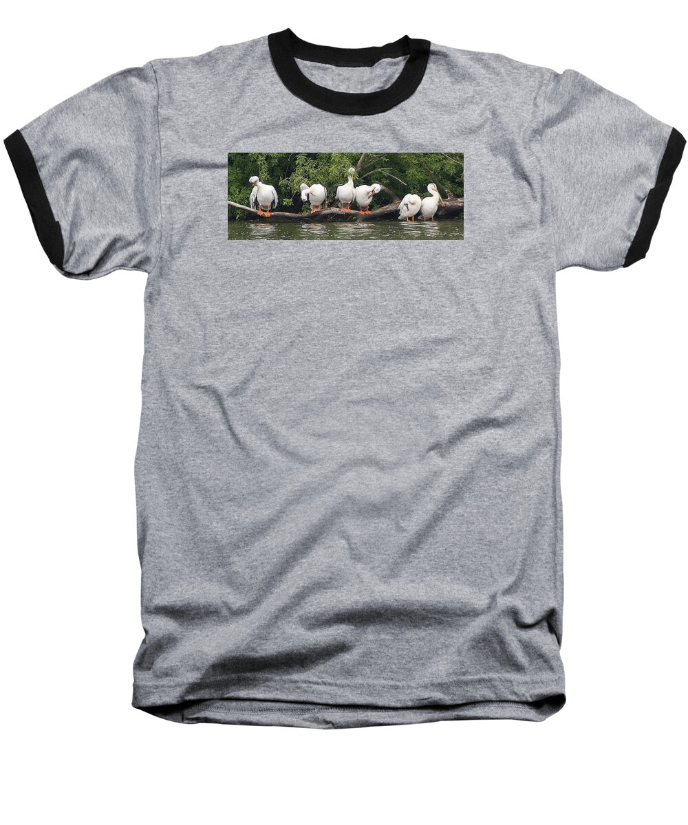 Birds Baseball T-Shirt featuring the photograph Taking Care of Things by Bruce Bley