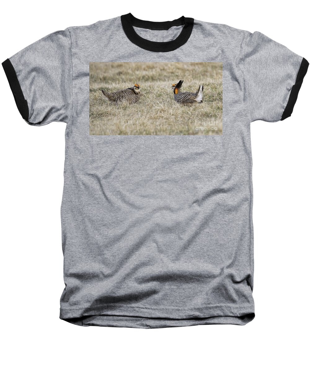 Prairie Chicken Baseball T-Shirt featuring the photograph Talking About It by Jan Killian