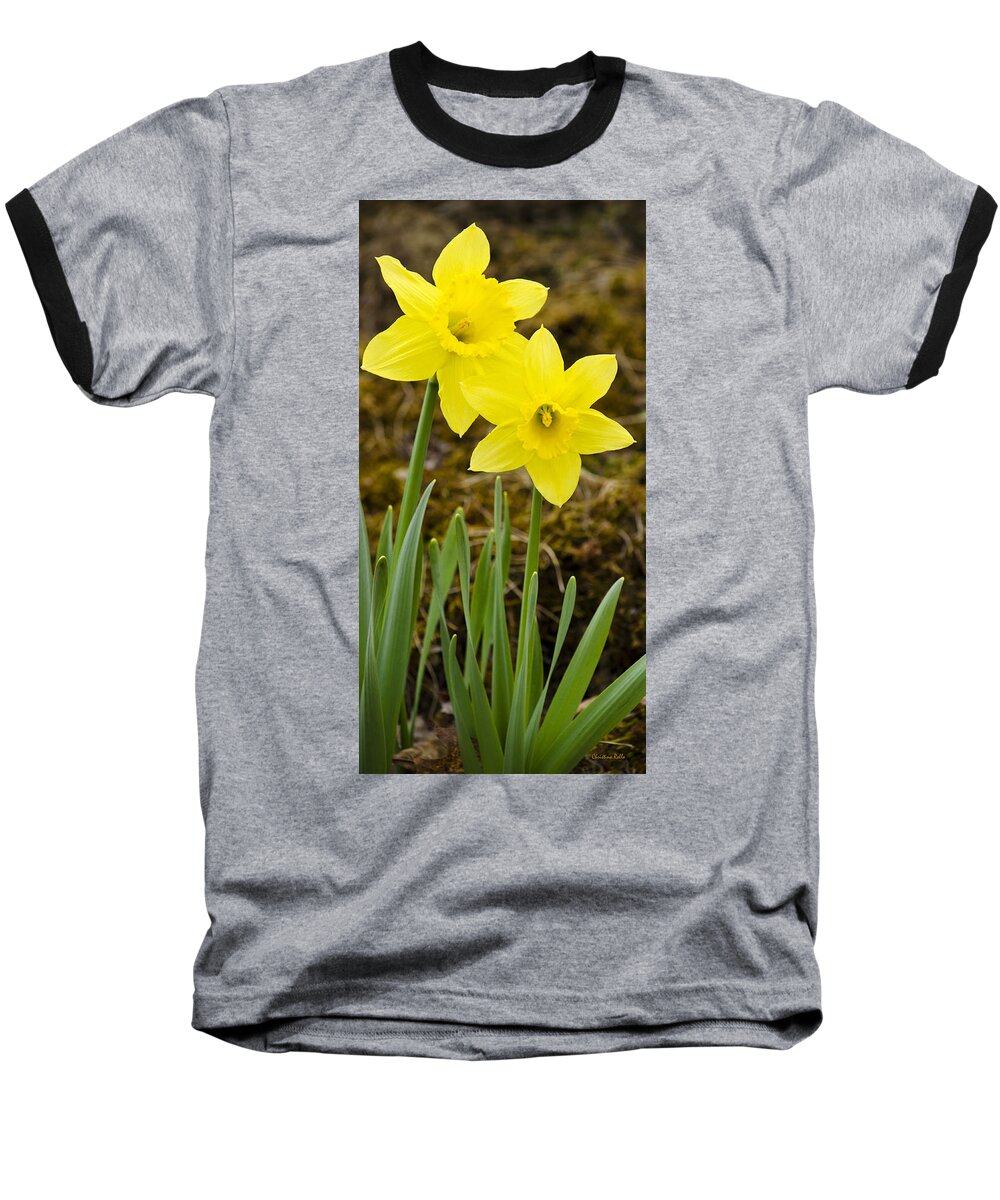 Daffodils Baseball T-Shirt featuring the photograph Tall Daffodils by Christina Rollo