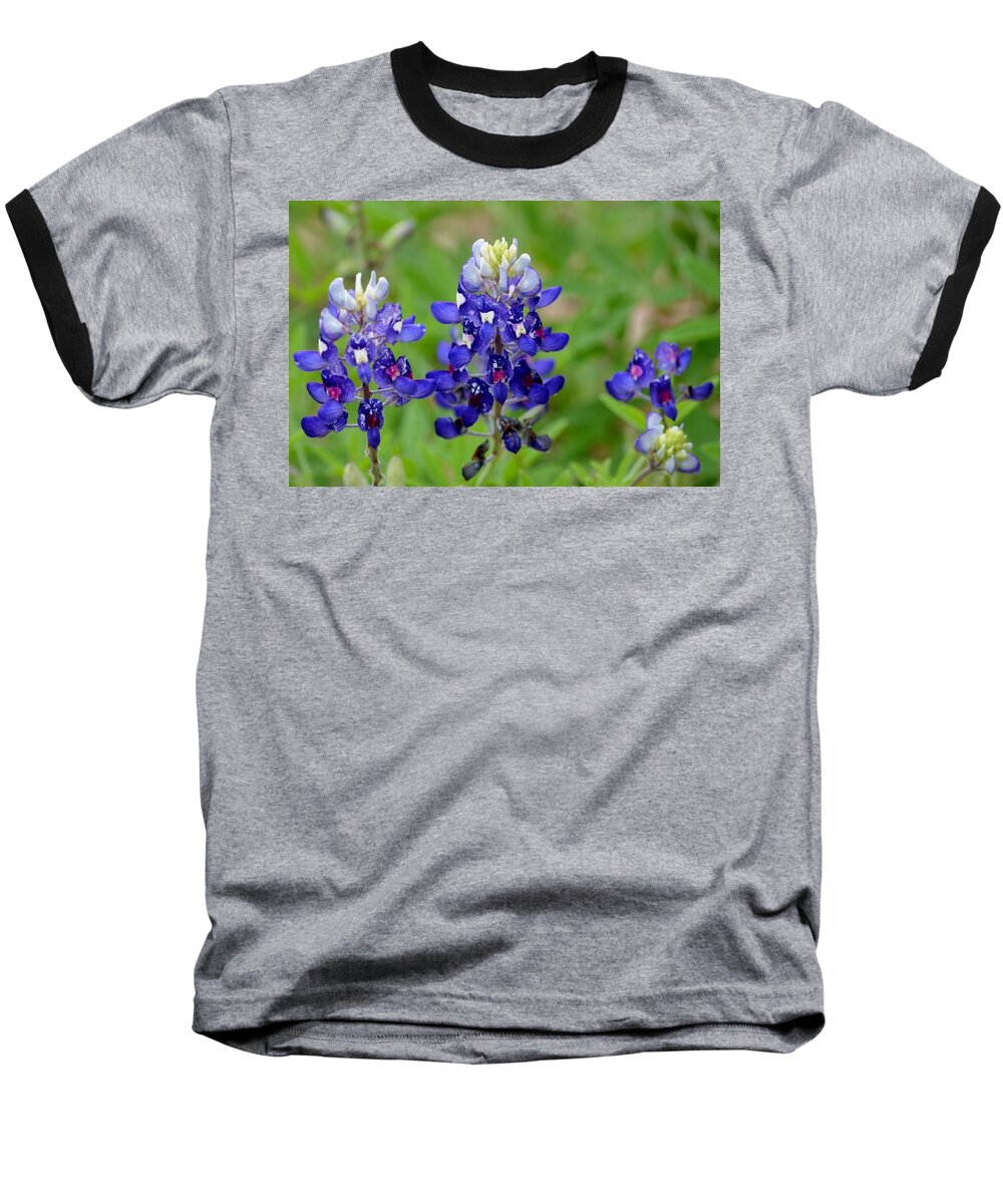 Texas Baseball T-Shirt featuring the photograph Texas Bluebonnets by Debra Martz