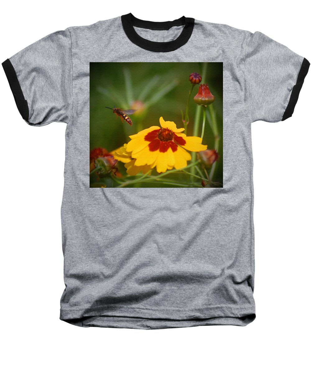 Flower Baseball T-Shirt featuring the photograph Textured Bee by Leticia Latocki