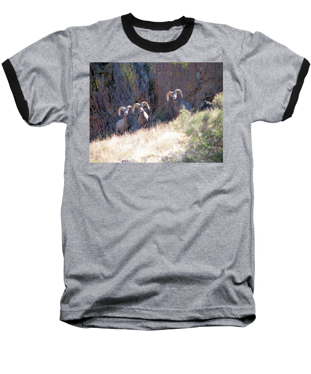 Bighorn Baseball T-Shirt featuring the photograph The 3 Amigos by Darcy Tate
