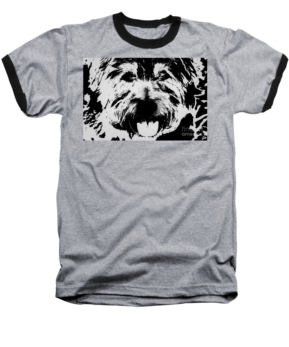 Cairn Baseball T-Shirt featuring the photograph The Cairn Terrier by Lynn Sprowl
