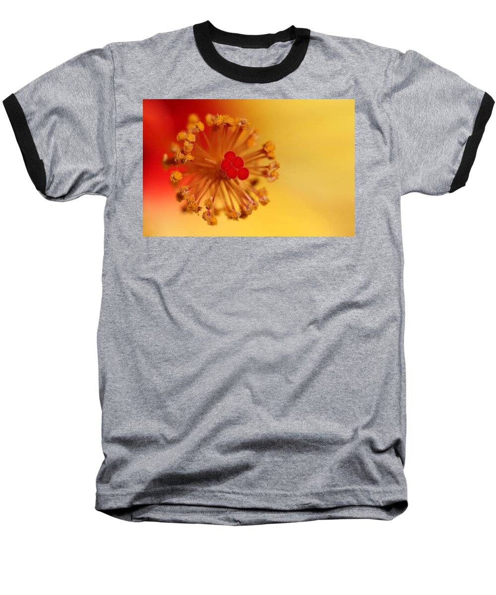 Hibiscus Baseball T-Shirt featuring the photograph The Center Of The Hibiscus Flower by Debbie Oppermann