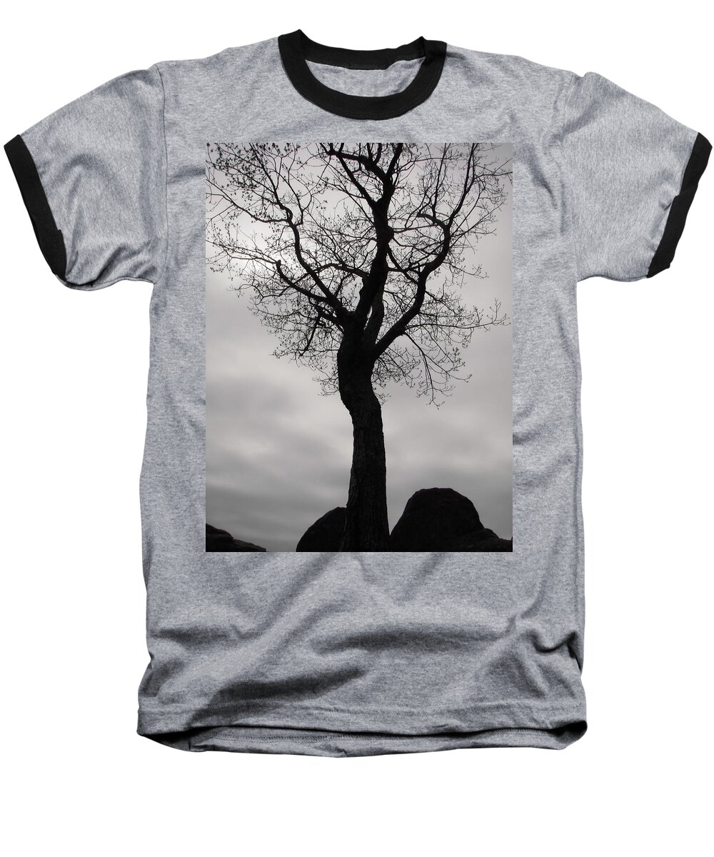 Tree Baseball T-Shirt featuring the photograph The Chill of Spring in the Shenandoah by Nicole Angell