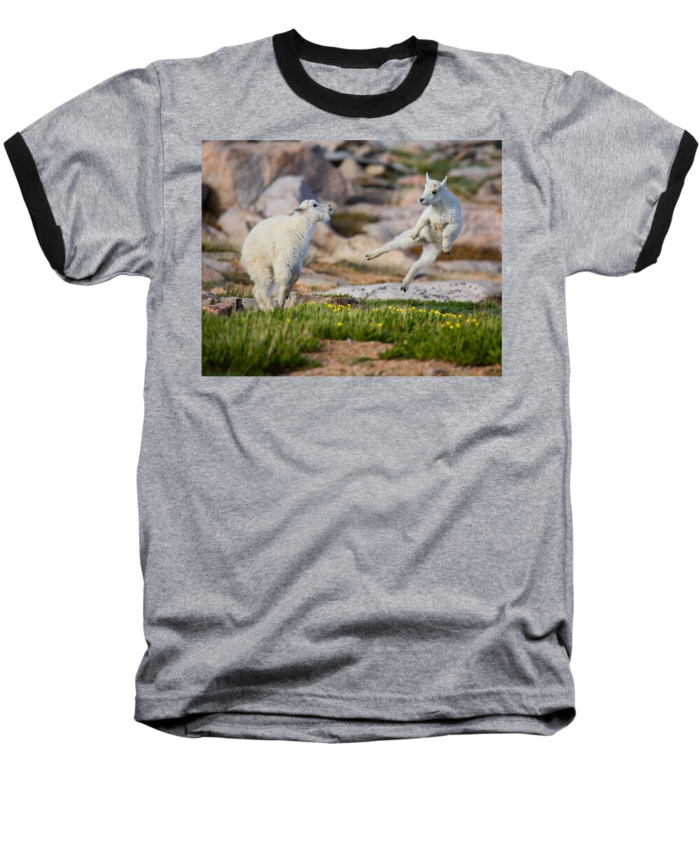 Baby Goat; Mountain Goat Baby; Dance; Dancing; Happy; Joy; Nature; Baby Goat; Mountain Goat Baby; Happy; Joy; Nature; Brothers Baseball T-Shirt featuring the photograph The Dance of Joy by Jim Garrison